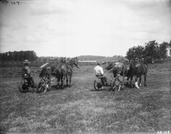 Three-quarter rear view of two men using teams of two horses to pull mowers in a field. The horses are wearing fly-nets. In the far background is another man on a mower.