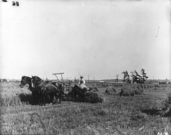 View down field towards a man working in a field using a horse-drawn McCormick binder. There are buildings in the background on the right.