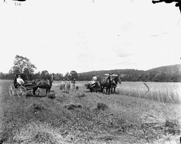 Group portrait of a man in a horse-drawn buggy posing on the left, a group of three men with a dog in the middle, and on the right a man on a horse-drawn binder in a field. Trees and hills are in the background.