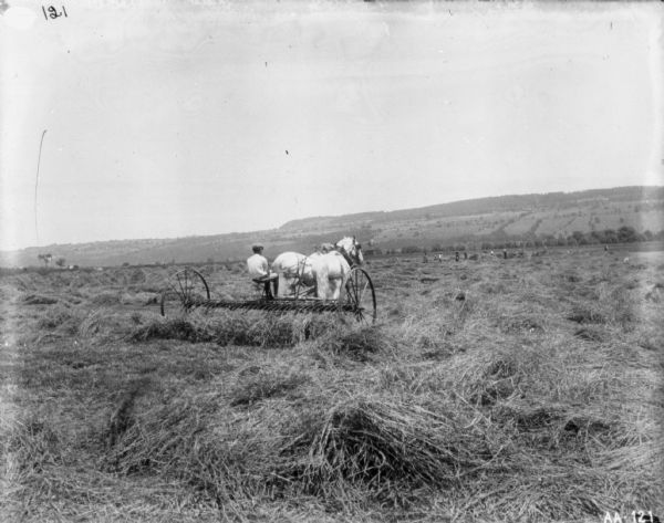 Haying Operation | Photograph | Wisconsin Historical Society