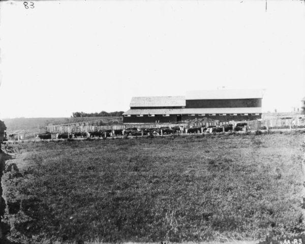 View across field towards a herd of cattle in front of fences and farm buildings.
