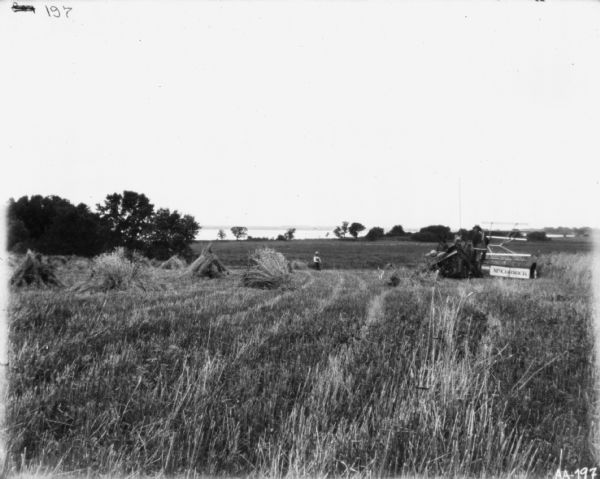 Rear view of a man using a horse-drawn McCormick binder in a field. A young boy is standing near sheaves of wheat piled in the field. In the far distance is a body of water and the far shoreline.