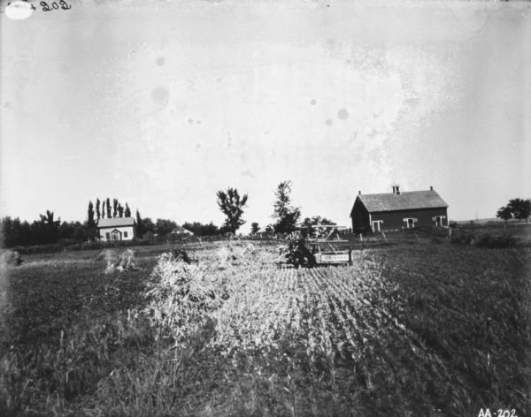 View down field towards McCormick binder. In the background is a farmhouse and farm buildings.