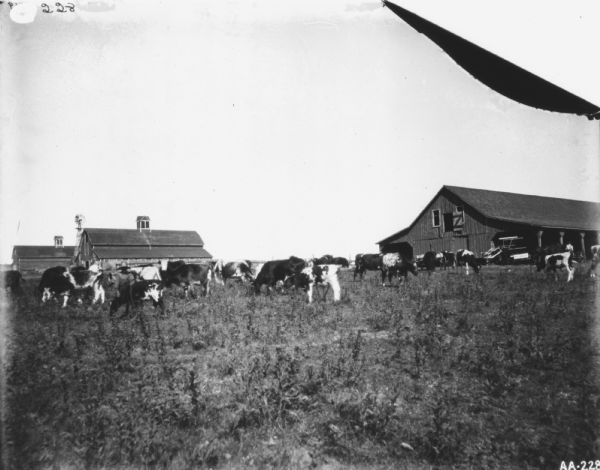 A man is standing among cattle in a barnyard. A McCormick binder is parked near a barn in the background on the right. More farm buildings and a windmill are on the left.