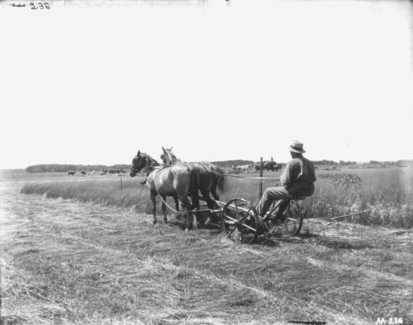 Three-quarter view from left rear of a man using a horse-drawn binder in a field. In the background on the left is a herd of cows. In the background on the right, another man is using a horse-drawn binder near a man standing on top of a tall load of hay on a wagon.