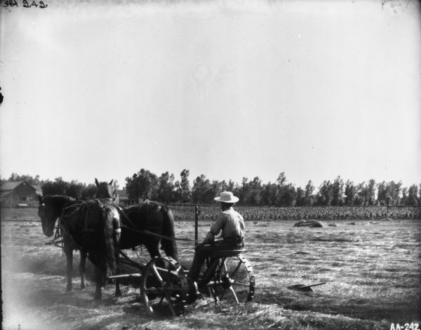 Three-quarter rear view from left of a man using a team of horses to pull a mower in a field. Farm buildings are in the background.