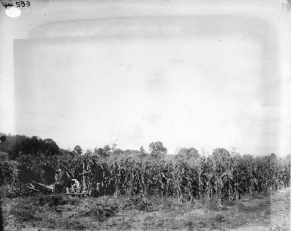 View across field towards man using a horse-drawn corn binder in a field.