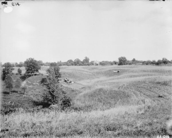 View down hill towards a man using a horse-drawn binder in a hilly field. A man is on the right with another horse-drawn vehicle. On the left is a split-rail fence along a hill.