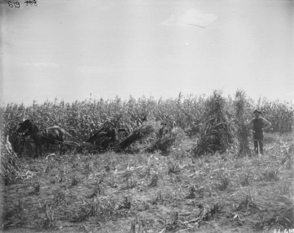 View across harvested field towards a man using a horse-drawn corn binder. Two men are standing on the right near bundles of corn.