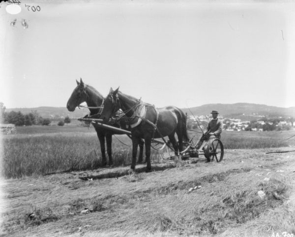 Three-quarter view from front left of a man using a horse-drawn mower in a field. In the background on the left a wagon is parked in the field. In the far background is a town and hills.
