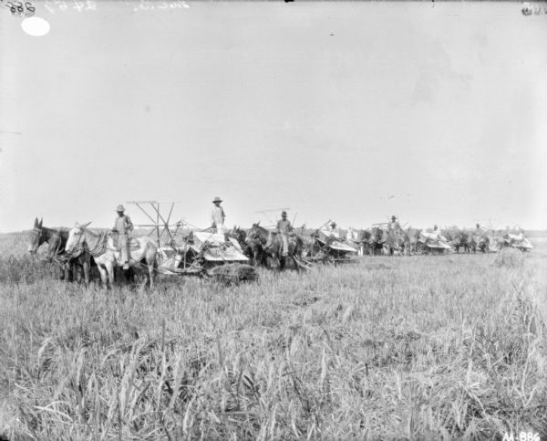 View across field towards eight men posing with four horse-drawn binders in a field. Four of the men are on the binders, and the other four are sitting on horseback.