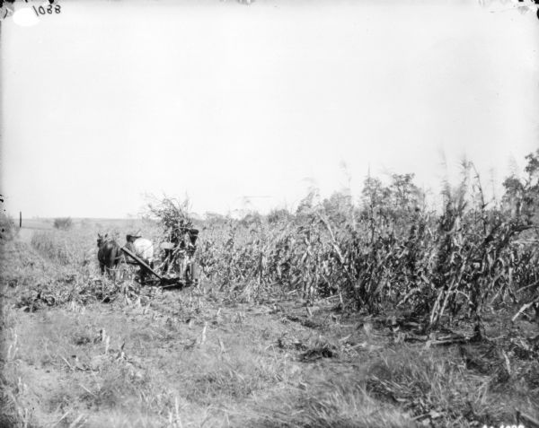 Three-quarter view from left rear of a man using a horse-drawn corn binder.