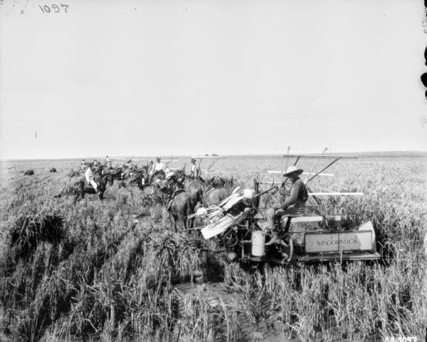Slightly elevated view of a group of men posing in a line in a field with five horse-drawn binders in a field. A man is sitting on horseback to the left of the line.