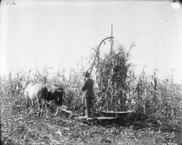 Three-quarter view from rear left of a man standing on the platform of a corn binder pulled by two horses.