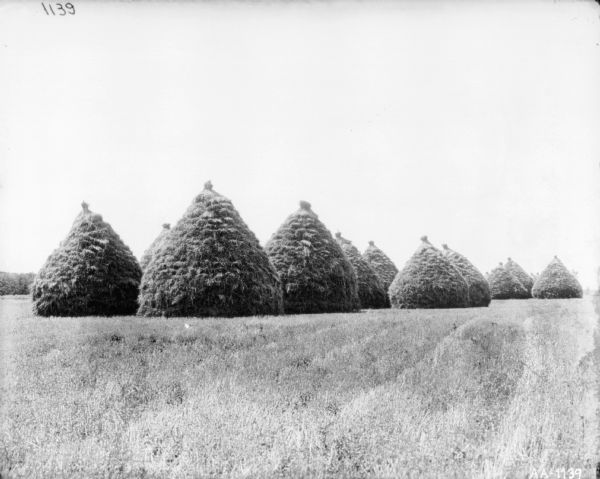 View across field towards a group of large haystacks.