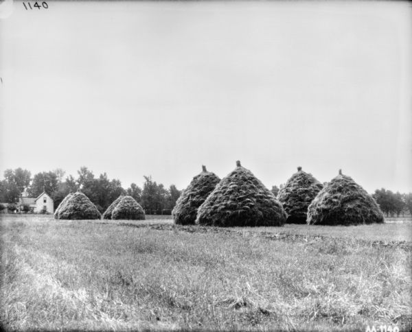 View across field towards group of large haystacks. There is a farmhouse among trees in the background on the left.