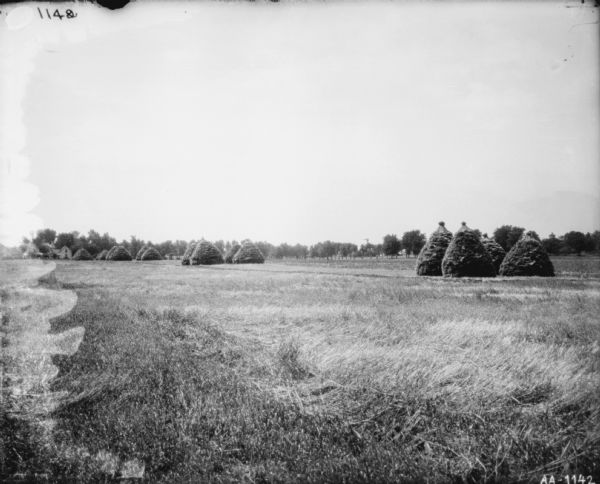 View across field towards group of large haystacks. There are trees, a farmhouse, and a windmill in the background.