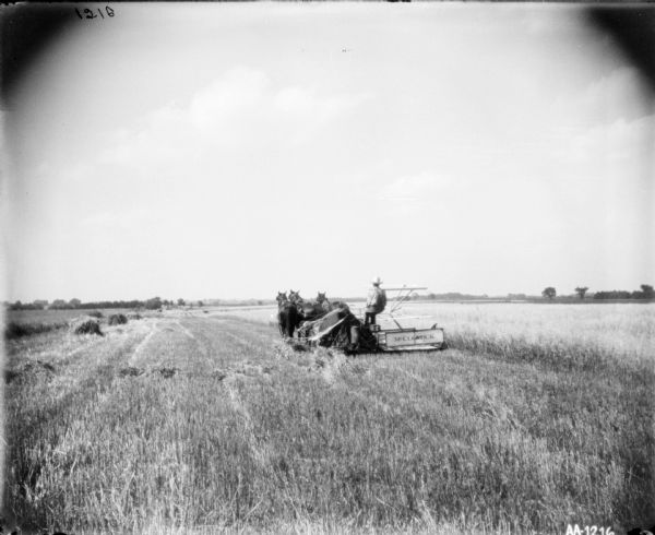 View down harvested rows of a field towards a rear view of a man using three horses to pull a McCormick binder.
