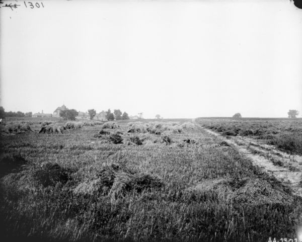 View across field of harvested grain. Farm buildings are in the background on the left.