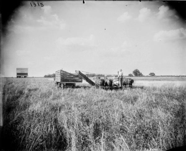 Rear view across field towards a man standing on a platform behind four horses and a push binder header. Near the header is a truck with wooden slats around the sides. In the far background on the left is a farm building.