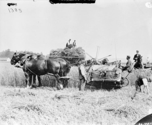 Large group of men working around a horse-drawn McCormick binder in a field. One man is siting on the binder, and another man is standing in front. Behind the binder two men are standing on top of a wagon full of hay. There is a man on horseback wearing a suit watching the operation. Other men are working in the field, and in the far background on the left is a farm building.