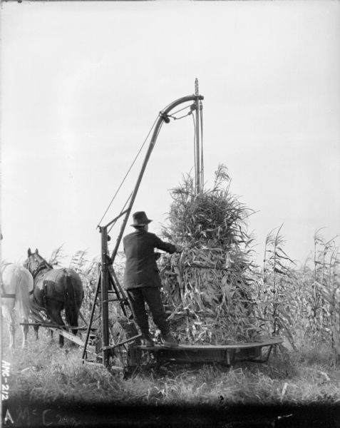 Rear view of a man standing on a platform binding corn stalks.