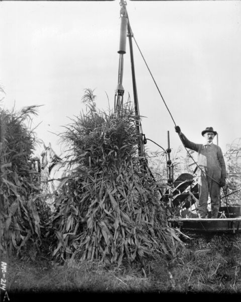 View towards a man standing on the platform of a corn binder while binding stalks of corn. The horse pulling the corn binder is behind two shocks of corn.