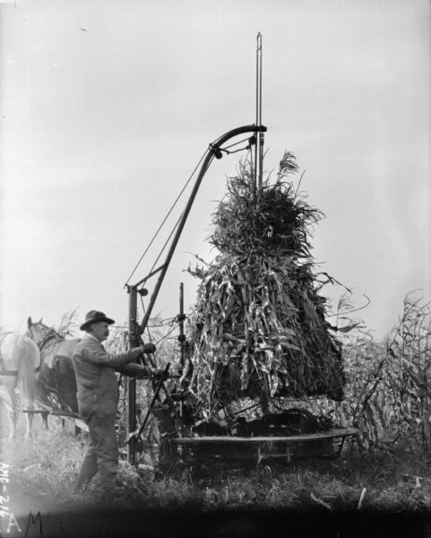 Man standing at side of horse-drawn corn binder and lifting a bound shock of corn stalks off of the platform.