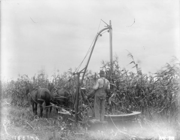 Three-quarter view from left rear of a man binding stalks on a windy day. He is standing on the platform of the horse-drawn corn binder.
