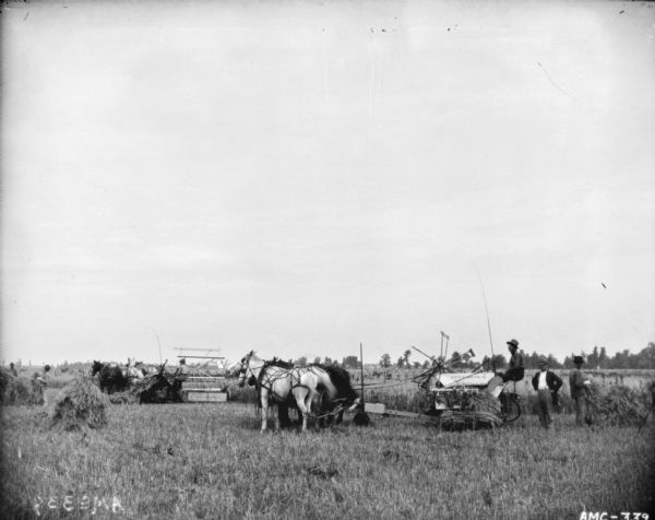 Large group of men in field near two men on horse-drawn binders. A foreman is standing on the right. Farm buildings are in the far background.