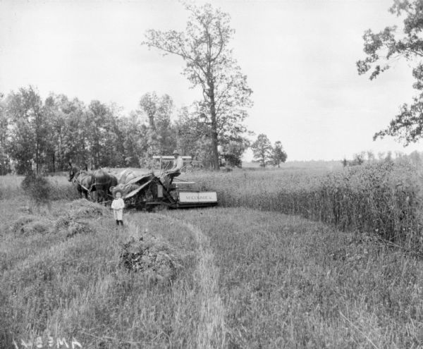 View across harvested field towards a young boy standing in front of a man on a horse-drawn McCormick binder. Trees are in the background.