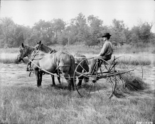 Left side view of farmer in a field aboard horse-drawn hay rake.