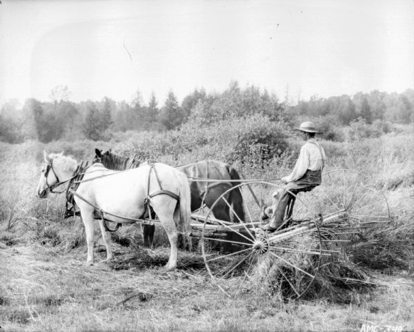 Left side view of a man using a horse-drawn hay rake.