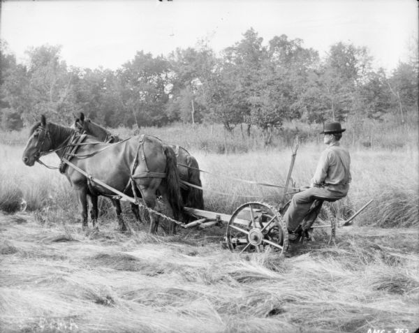 Left side view of a man using a horse-drawn mower in a field. Trees are in the background.