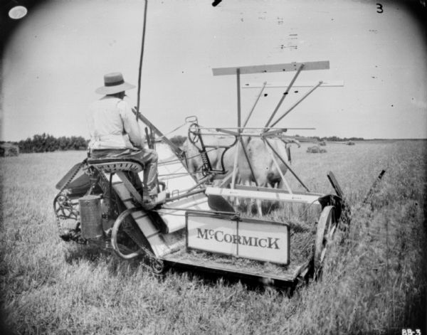 Three-quarter view from right rear of a man using an ox-drawn McCormick binder in a field.
