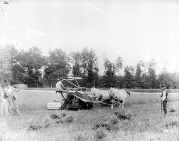 View across harvested section of field towards a man using an ox-drawn binder. Two men wearing suits are standing on the left, and one is gesturing with a cane. Another man is standing on the right holding a long stick.