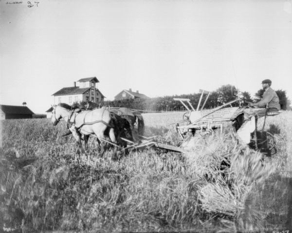Left side view of a man using a horse-drawn McCormick binder in a field. Farm buildings are in the background.