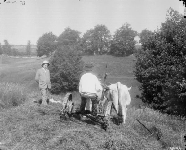 Rear view of a man using an ox-drawn mower. A man wearing a suit is standing near the mower on the left. Another man is standing in the background behind the driver just in front of the team of oxen.