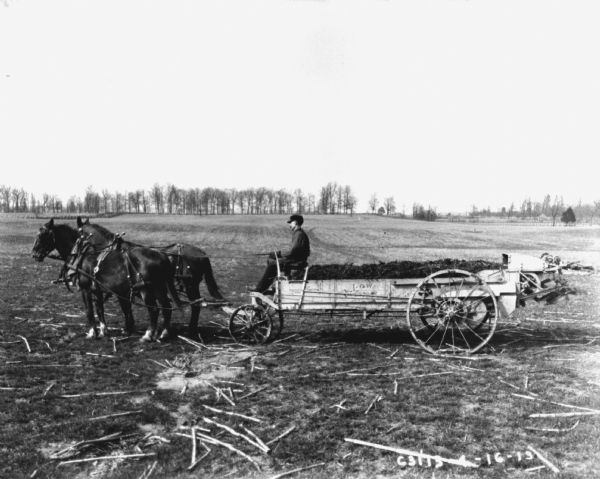 View towards a man using Low Century horse-drawn manure spreader in a field.