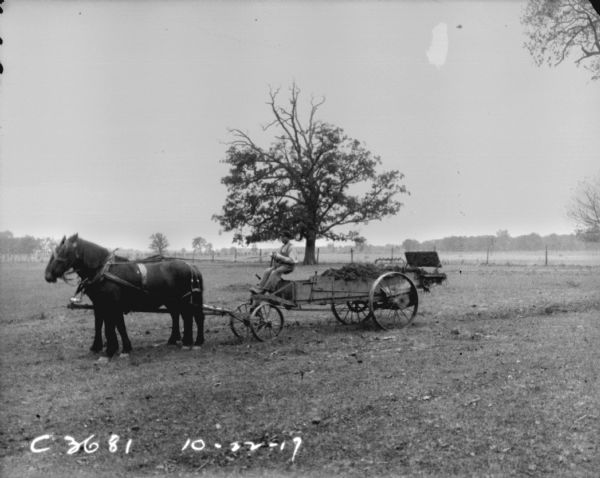 View towards a man using horse-drawn manure spreader in a field.