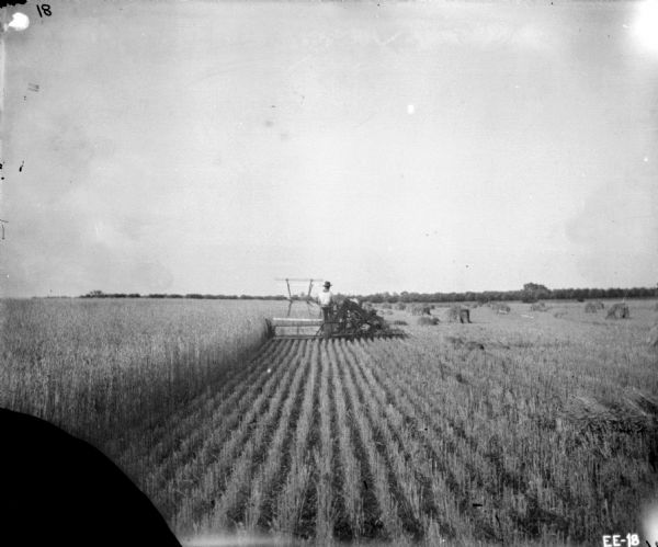 View down harvested section of field towards man using a horse-drawn McCormick binder. Shocks of wheat are in the field on the right.