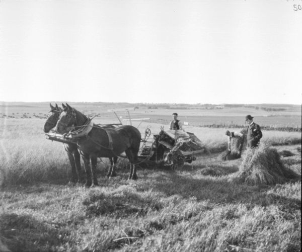 A man wearing a suit and a bowler hat is standing in a field near a man using a horse-drawn binder. Another man is standing behind the binder picking up the piles of wheat.
