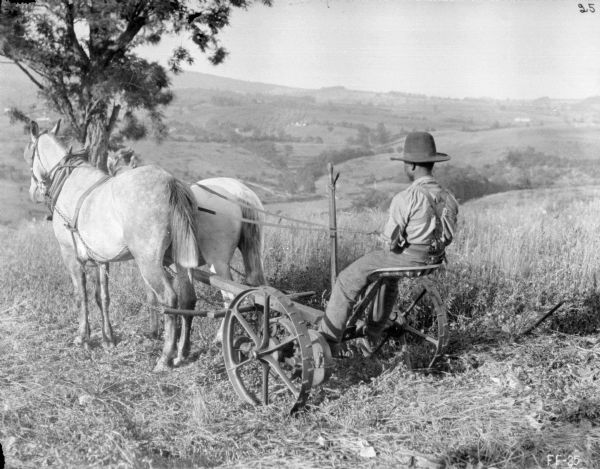 Three-quarter view from left rear of a man using a horse-drawn mower on a hill. In the background is a tree further down the hill, and in the distance is a valley and another hill.