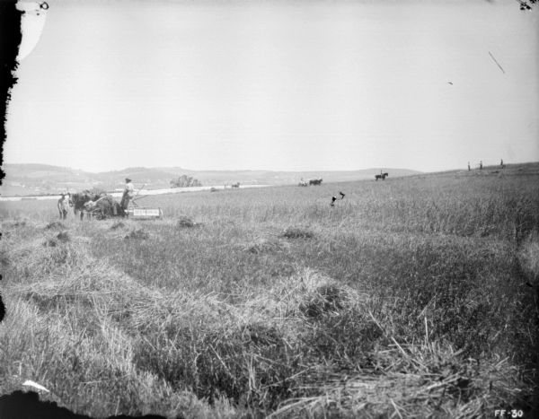 View across harvested field towards a man using a horse-drawn McCormick binder. Another man is standing beside the binder on the left. In the far background is a fence and hills. Other men are further down the field, two using horse-drawn binders, one man on horseback, and a group of people standing on a hill on the right.