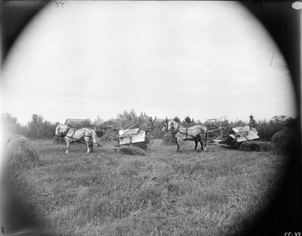 View across harvested field towards two men using two horse-drawn binder. Houses are in the far background behind trees. The horses are wearing fly-nets.