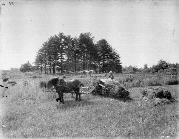 Left side view of a man using a horse-drawn binder. In the background are power lines, a fence, and trees.
