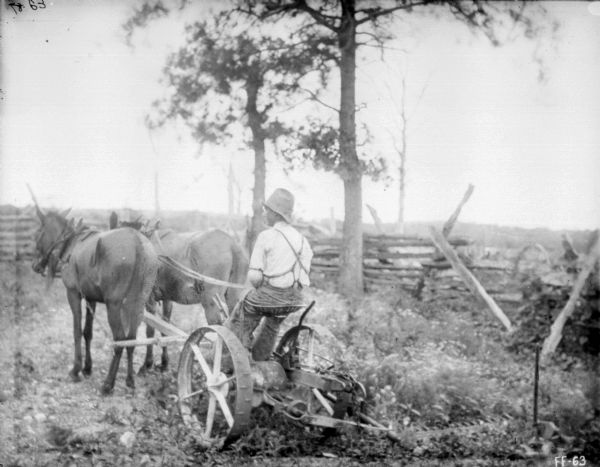 Rear view of a man using a mower drawn by mules. In the background is a fence and trees.