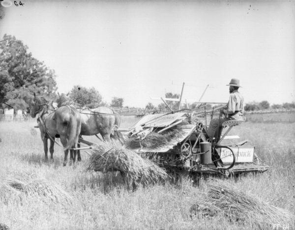 Three-quarter view from left rear of a man using a horse-drawn McCormick binder in a field. In the background is a fence and trees.