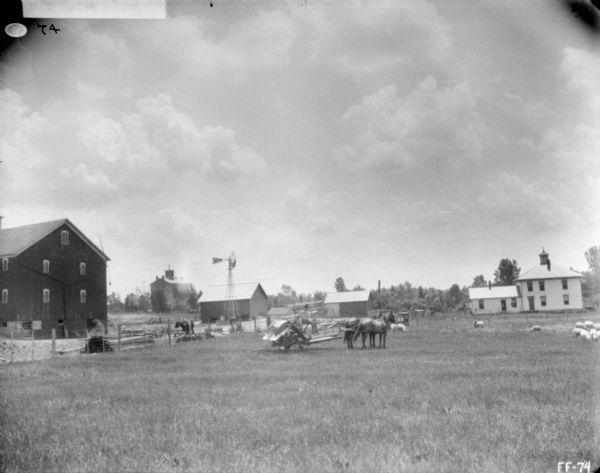 A man is posing on a horse-drawn binder in a field. In the background behind a fence are farm buildings, a windmill and a farmhouse. A flock of sheep are grazing in the field.