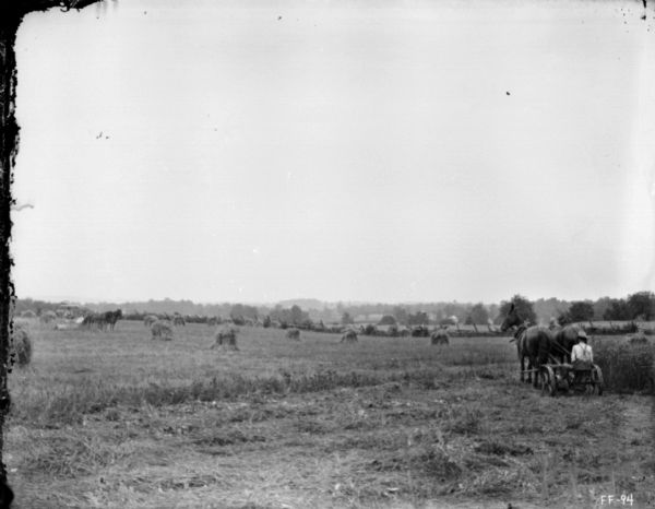 View across mowed field towards a man, on the right, on a horse-drawn mower. In the field on the left are shocks of wheat, and another man on a horse-drawn binder.
